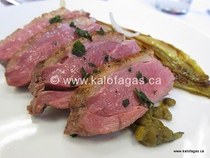 IMG_3927 IMG_3927