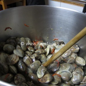 IMG_4142 IMG_4142