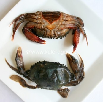 shell soft crab crabs skordalia pepper red delicacies combos kalofagas above spread frozen