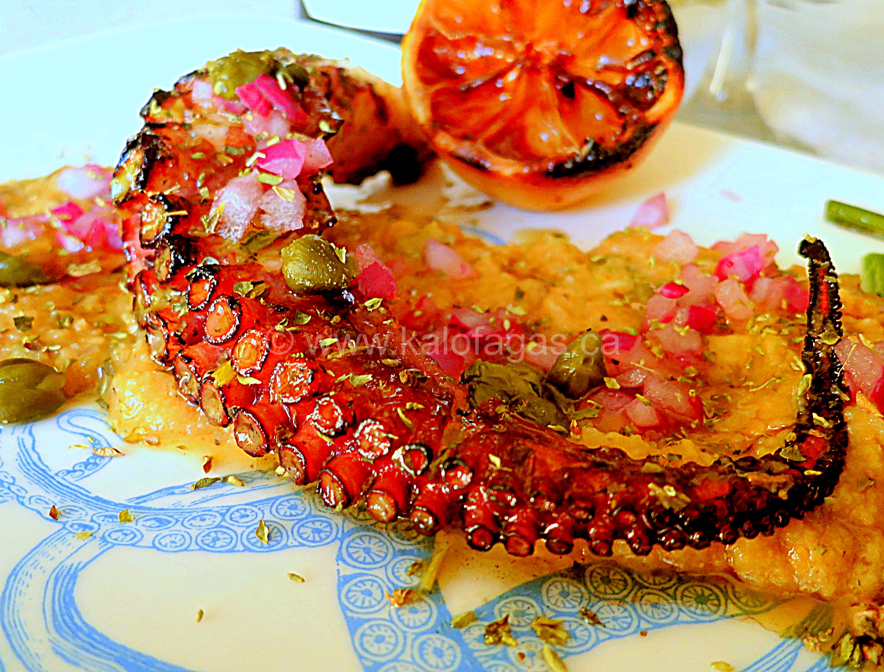 Grilled Octopus With Santorini Fava Kalofagas.ca