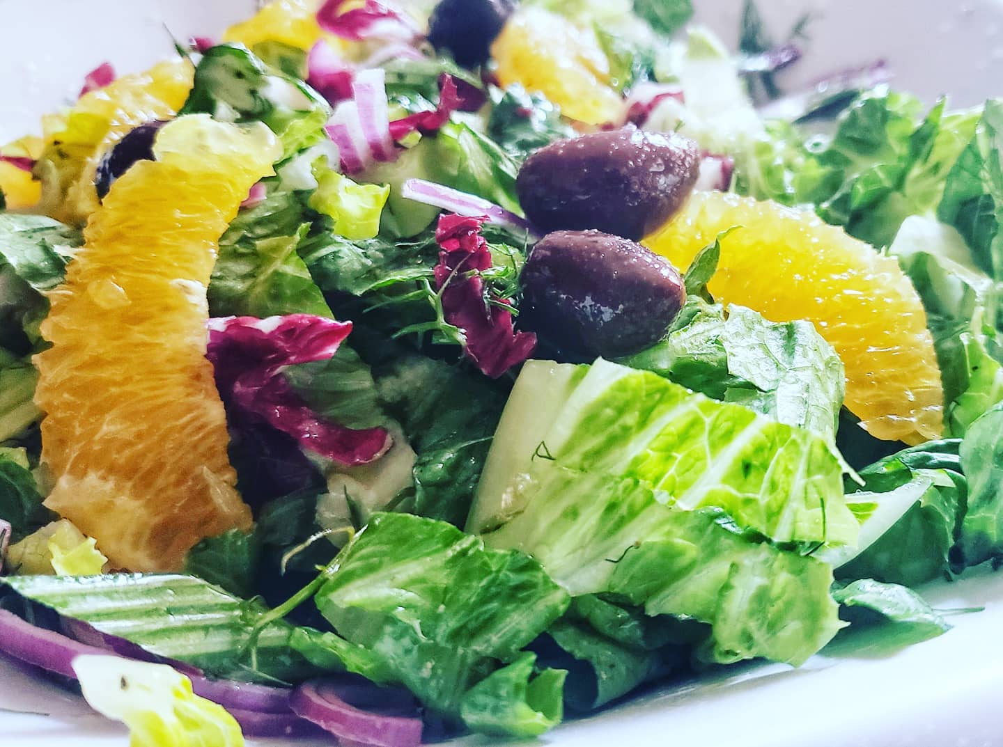 Romaine salad Fennel Orange Kalamata Olives Kalofagas.ca
