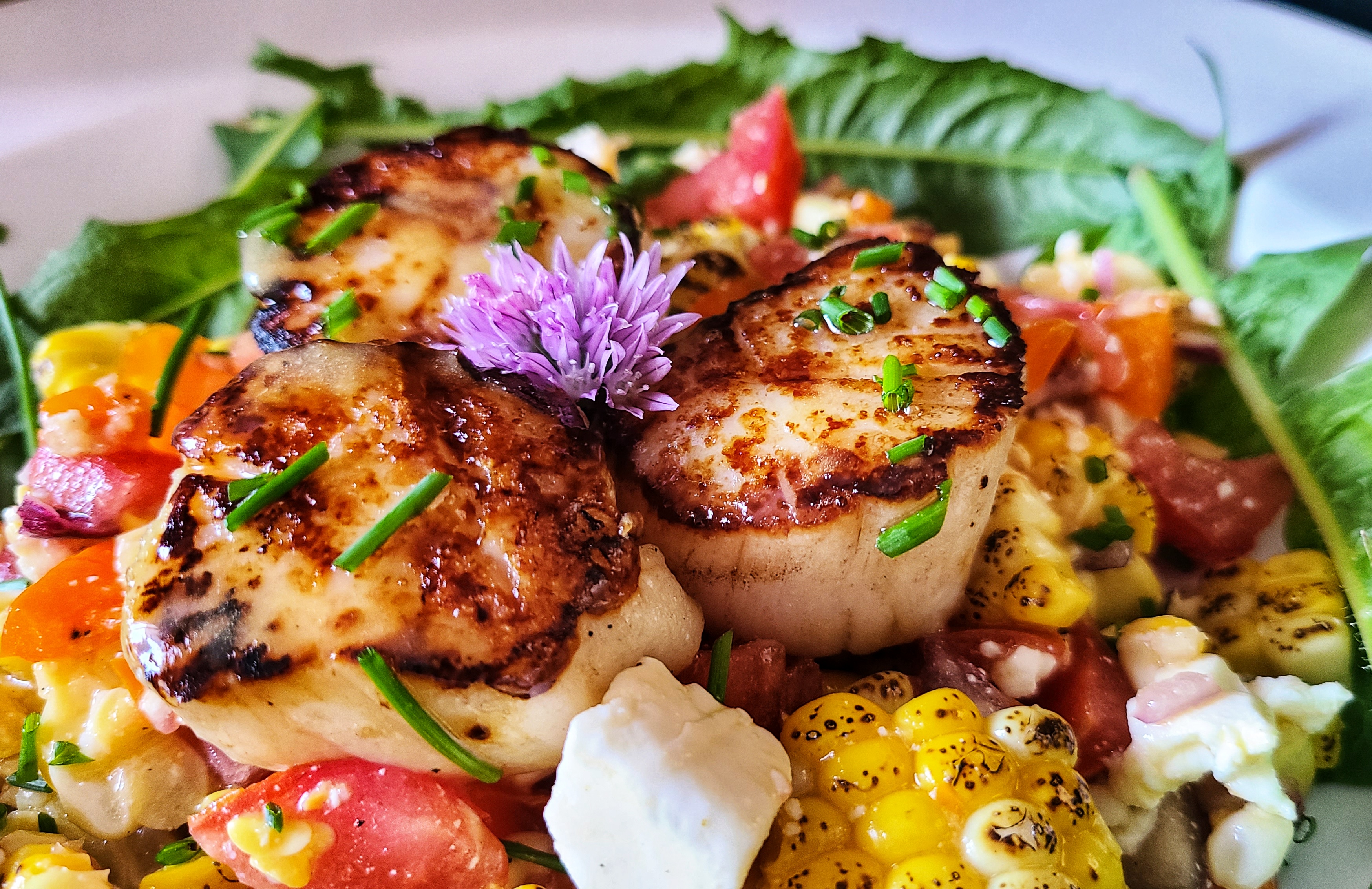 Seared Scallops with Grilled Corn Salad Kalofagas.ca