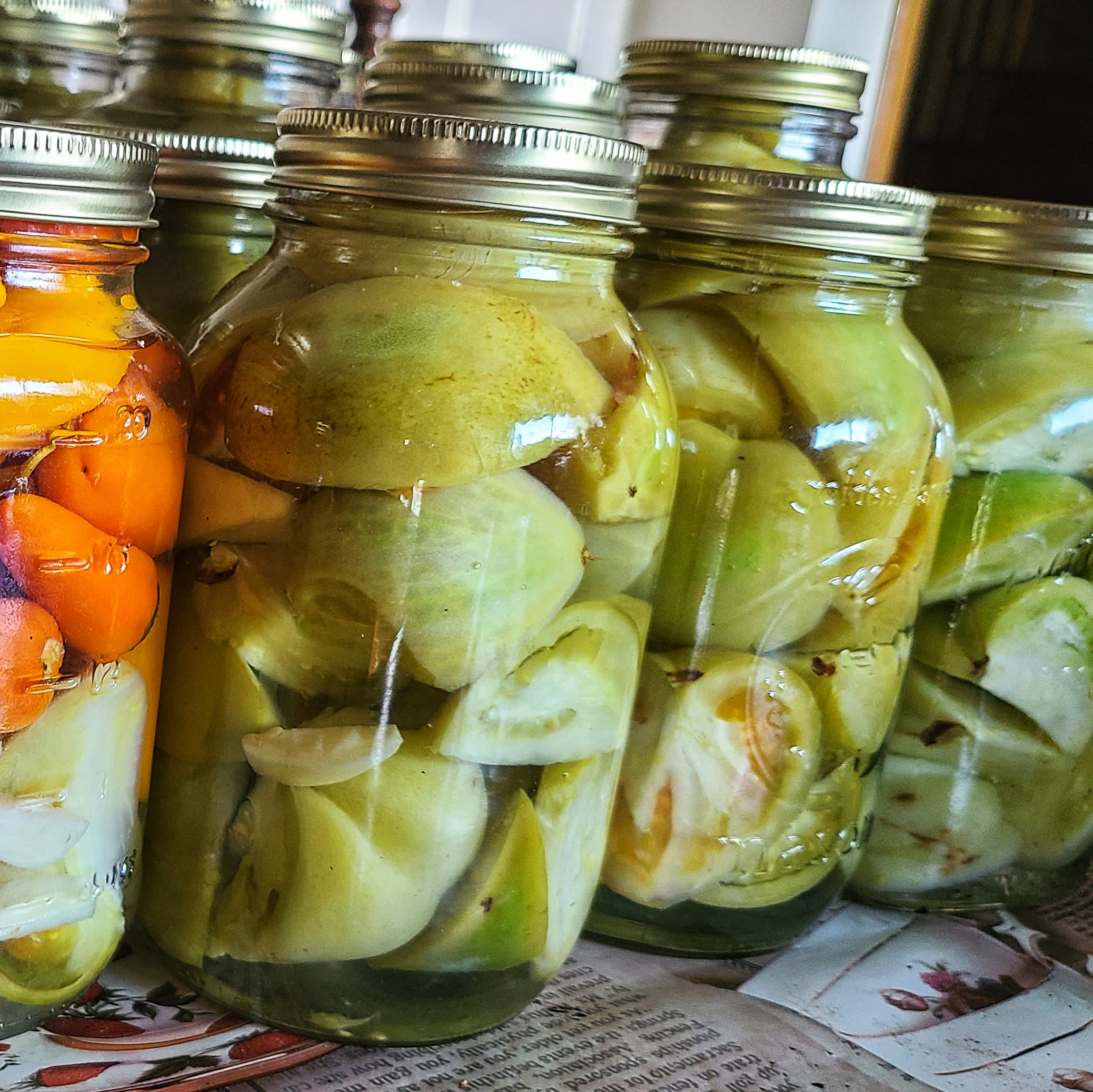 Pickled Green Tomatoes